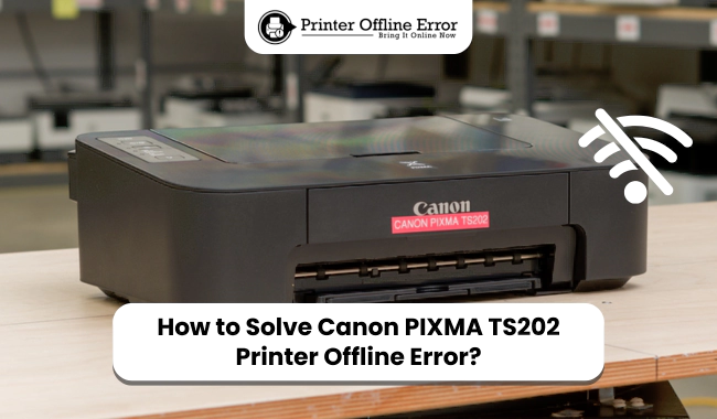 How to Solve Canon PIXMA TS202 Printer Offline Error?